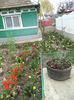 DSC07465