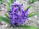 DSC07330