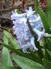 DSC07155