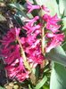 DSC07290