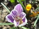 DSC07296