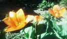 IMG_20160403_152150