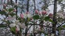 20160409_103920