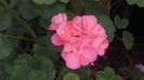 20160409_104010