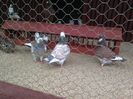 IMG_20160410_141152