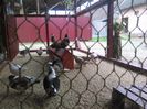 IMG_20160410_141225
