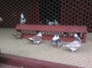 IMG_20160410_141339