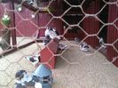 IMG_20160410_141715