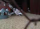 IMG_20160410_141727