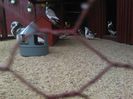 IMG_20160410_141729