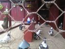 IMG_20160410_141758