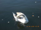 DSCN0567
