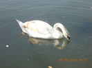 DSCN0566