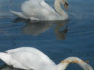 DSCN0560