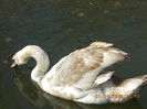 DSCN0555