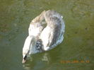 DSCN0554
