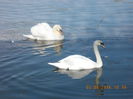 DSCN0553