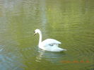 DSCN0543