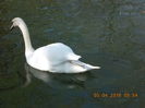 DSCN0541