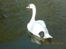 DSCN0540