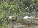 DSCN0539