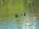 DSCN0533