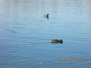 DSCN0527