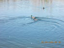 DSCN0526