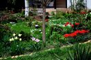 Spring green