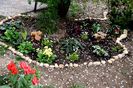 Shadow garden