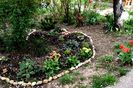 Shadow garden