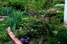 Hidden garden