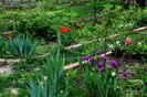 Hidden garden