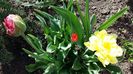 20160407_154552