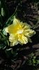 20160407_154618