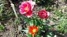 20160407_154600