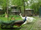 FB_IMG_1460281086667