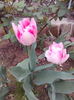 IMG_20160408_080139