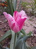 IMG_20160408_080156
