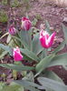 IMG_20160408_080232