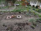 Celebrity Rose Garden
