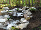 pondless_10