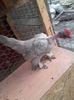 20160410_190034