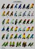 12400854_1141474652530193_7940012540360192554_n