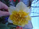 DSC00371