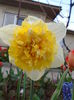 DSC00372