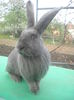 DSCN0231