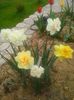 20160408_095200