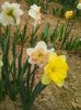 20160408_101306