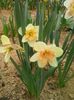 20160408_101314